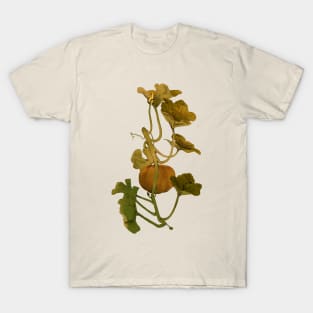 Pumpkin T-Shirt